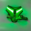 LED Luminous Dog Harness Led USB Charging Dog Chest Strap Vest Pet Safety Reflective Harness Pet Vest For Puppy Large Dog Pet Products