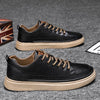 Men's Shoes Spring New Versatile Black Casual Leather