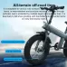 Q3 750W All-terrain Off-road Electric Bicycle with 20 inch Tires