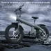 Q3 750W All-terrain Off-road Electric Bicycle with 20 inch Tires