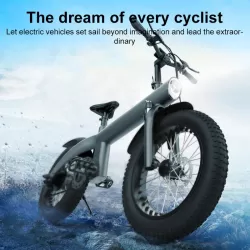 Q3 750W All-terrain Off-road Electric Bicycle with 20 inch Tires