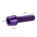 WEST BIKING 6pcs /Pack M5x18mm Titanium-Coated Bike Stem Screws for Mountain Bicycles
