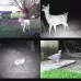 HC300M LCD 12MP Waterproof IP54 IR Night Vision Security Hunting Trail Camera with MMS Function