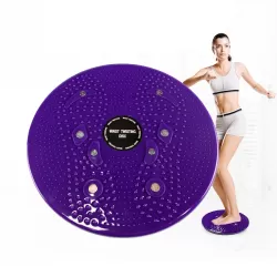 Aerobic Exercise Fitness Magnet Wriggling Waist Disk Twist Board