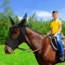 MMZ-001 Breathable Horse Mask Mosquito Insect And Fly Mask Equestrian Supplies