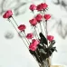Artificial Rose Bud Wedding Decoration Flower Arrangement Party Home Decoration Red
