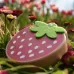 Strawberry Preserved Baby Teeth Wooden Preservation Box
