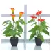 Artificial Flower Calla Plant Potted Home Decoration Green Plant Red