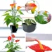 Artificial Flower Calla Plant Potted Home Decoration Green Plant Red