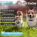 V41 Smart GPS Tracker IP67 Waterproof Pet Anti-loss Positioner 4G Version-B for North or South America