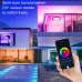 RGBCW Smart Graffiti App Voice Ceiling Light US Standard 110V-130V Black Frame