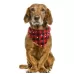 Pet Triangle Towel Christmas Snowflake Dog Saliva Towel
