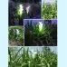 Simulated Lily Flower 4 Heads Solar Powered Outdoor IP55 Waterproof LED Decorative Lawn Lamp Colorful Light