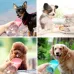 350 ml Portable Pet Dog Water Bottle Small Large Dog Travel Puppy Cat Drinking Water Bowl Outdoor Pet Water Dispenser Feeder Pet Supplies