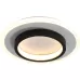 20W 3-color Dimming Aisle Light LED Entrance Corridor Cloakroom Ceiling Light Black Circular