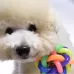 Fun Colorful Weave Style Bell Ball Pet Toy