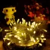 10m Waterproof String Light