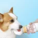 600ml Dog Go Out Water Cup Portable Accompanying Cup Pet Drinking Water Drinker Cloud Yellow