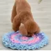 Pet Dogs Consume Energy Slow Food Relieve Stress Sniff Pad