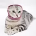 Pet Grooming Comfortable and Waterproof Earmuffs
