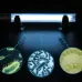 220V 13W UV Ultraviolet Algae Disinfection Fish Tank Lamp EU Plug