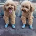 HCPET A1703 Pet Non-Slip Wear-Resistant Shoes Puppy Feet Cover