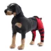 Pet Dog Leg Knee Guard Surgery Injury Protective Cover