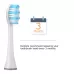 4 PCS D903 or D904 Replacement Brush Heads for Mornwel D01 White