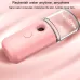 Facial Hydration Instrument Air Humidifier USB Beauty Cold Spray Instrument Auto Alcohol Disinfection Sprayer Pink