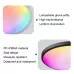 RGBCW Smart Graffiti App Voice Ceiling Light US Standard 110V-130V Black Frame