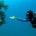 Waterproof Underwater Diving LED Flashlight Adjustable Torch Diving Work Fishing Hunting Lamp