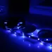 2m 12V 2A 100-240V Bare Board 5050 SMD RGB LED Rope Light 30 LED/m with 24-key Remote Control EU Plug