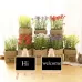 Small Party Shop Message Blackboard Ornaments Pine Tripod Decorative Message Board