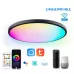 RGBCW Smart Graffiti App Voice Ceiling Light US Standard 110V-130V Black Frame