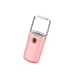 Facial Hydration Instrument Air Humidifier USB Beauty Cold Spray Instrument Auto Alcohol Disinfection Sprayer Pink