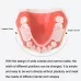 Y-Kelin Orthodontic Appliance Silicone Simulation Braces Anti-Molar Braces For Night Transparent