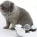 Pet Funny Cat Toy Pet Tumbler Toy Pet Electric Toy