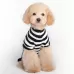 Halloween Skull Pet Sweater Cat or Dog Costume