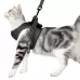 Cat Leash Pet Chest Harness Leash