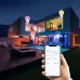 2 PCS Tuya TY-10W RGB and CCT Bluetooth Mobile Phone Control Smart LED Bulb Ball