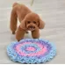 Pet Dogs Consume Energy Slow Food Relieve Stress Sniff Pad