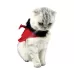 Pet Costume Holiday Warm Halloween Shiny Little Devil Tail Cloak