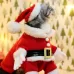 Pet Three-Dimensional Christmas Suit