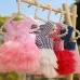 Pet Mesh Skirt Dress Dog Cat Clothes Suspenders Stripes Pink