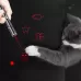 USB Rechargeable Laser Pattern Funny Cat Flashlight With Woods Purple Light Detection Lamp
