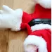 Pet Three-Dimensional Christmas Suit