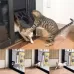 Pet Supplies Dog Paw Print Door Bite-Proof Small Dog Cat Screen Window Door Cat And Dog Door