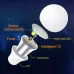 2 PCS Tuya TY-10W RGB and CCT Bluetooth Mobile Phone Control Smart LED Bulb Ball