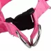 Double Sided LED Light Pet Harness Nylon Cat Dog Chest Strap Leash