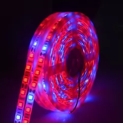 5m 300 LEDs SMD 5050 Full Spectrum LED Strip Light Fitolampy Grow Lights for Greenhouse Hydroponic Plant Waterproof